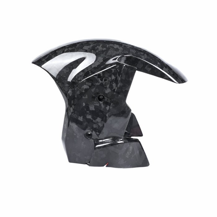 BMW M1000RR S1000R S1000RR Carbon Fiber Front Fender - SBK Motoparts