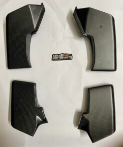 Ducati Streefighter V4 Original Carbon fiber Winglets
